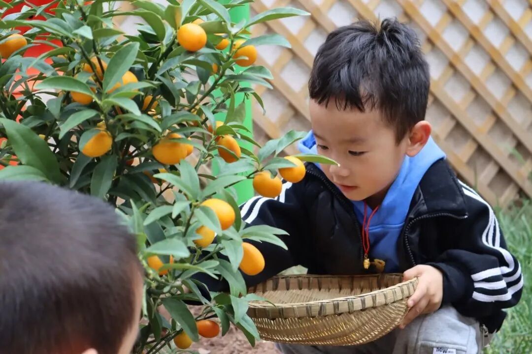 苗苗幼儿园活动区
