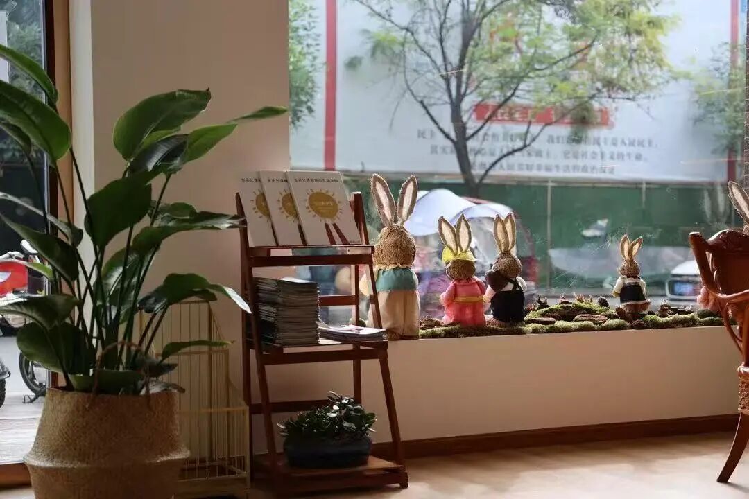 苗苗幼儿园户外环境