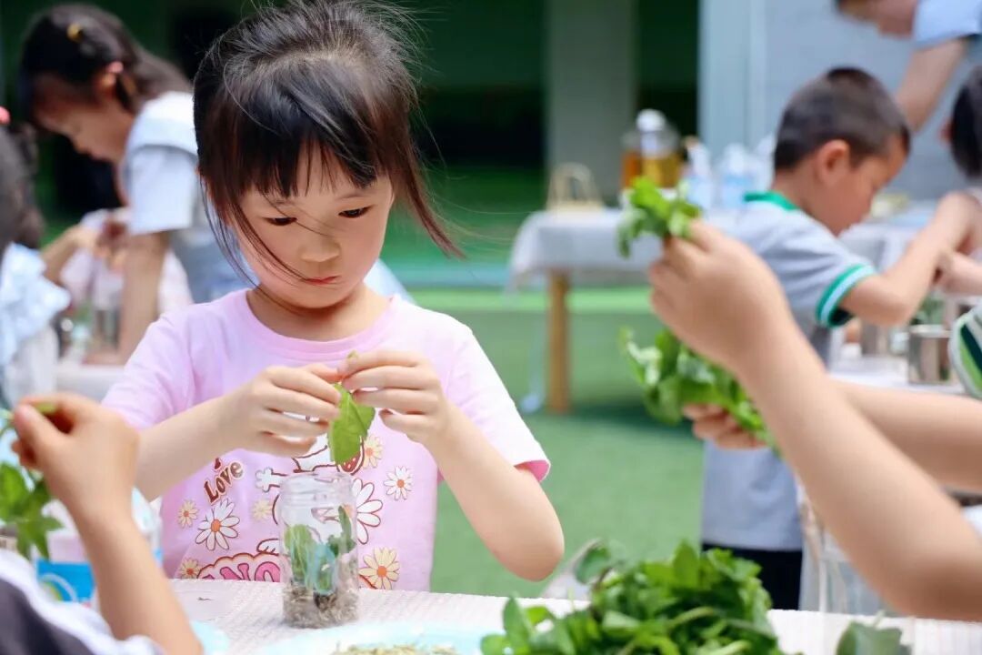 艺术创作课程